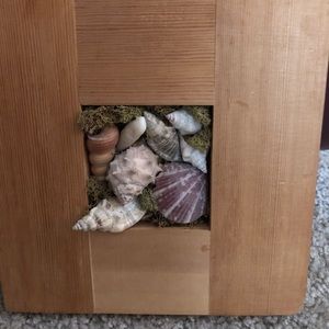 jacksonville beach shells inside wooden frame